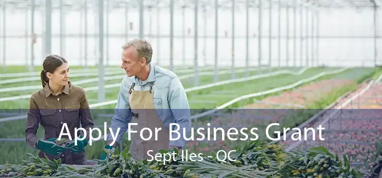 Apply For Business Grant Sept Iles - QC